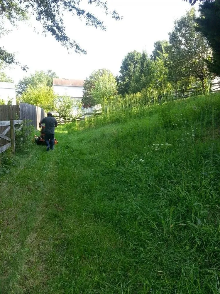 Reliable yard cleanup service in Dumfries, VA - From The Ground Up Landscaping & Hauling