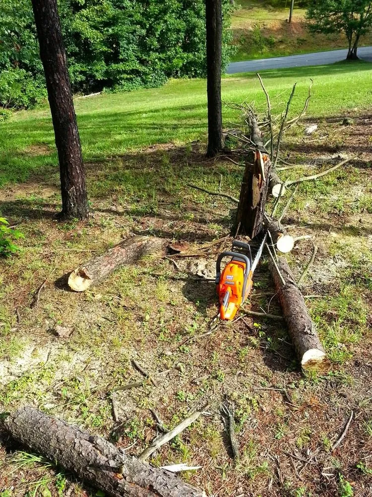 Local yard cleanup service in Dumfries, VA - From The Ground Up Landscaping & Hauling