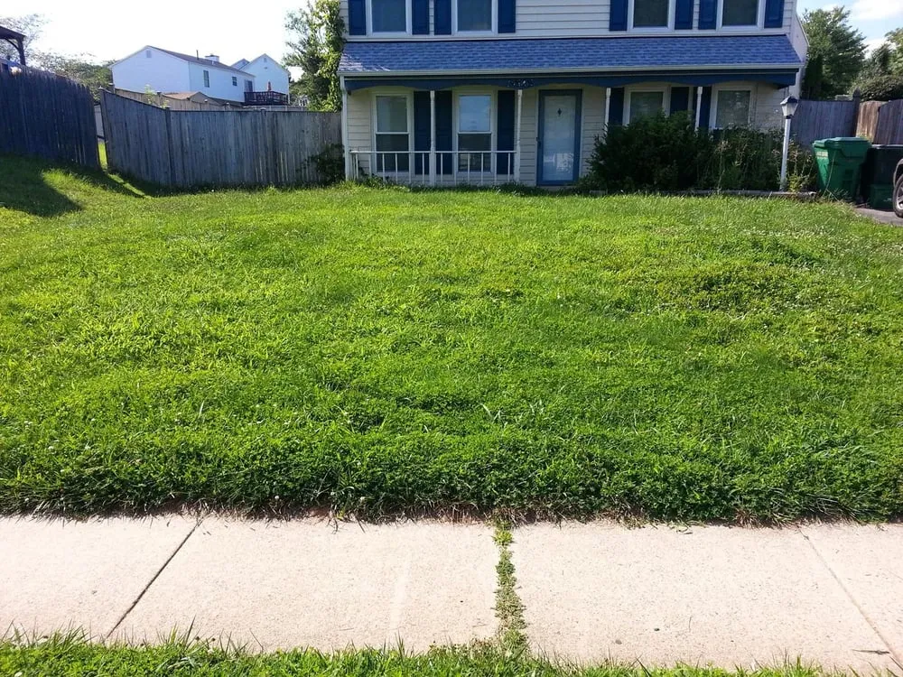 Reliable garden landscaping in Dumfries, VA - From The Ground Up Landscaping & Hauling