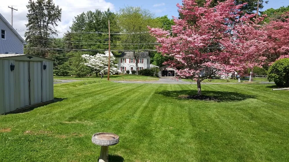 Reliable lawn care service experts serving Bangor, PA - From the Ground Up Landscaping Design