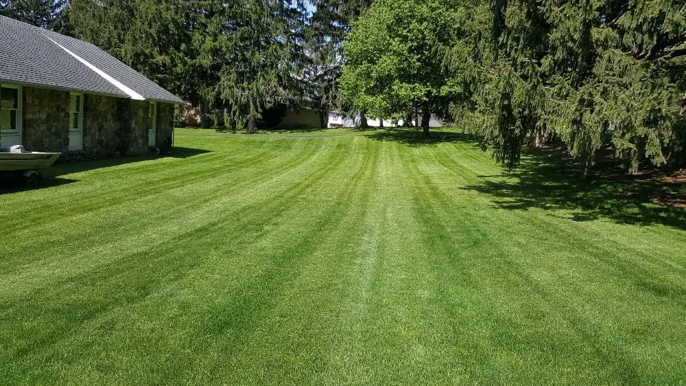 Expert landscape design for residential properties across Bangor, PA - From the Ground Up Landscaping Design