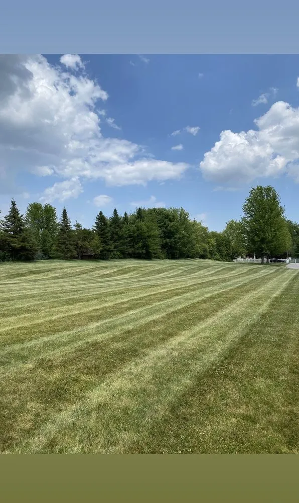 Top-rated garden landscaping for outdoor upgrades in Frankfort, IL by From the Ground Up Landscaping