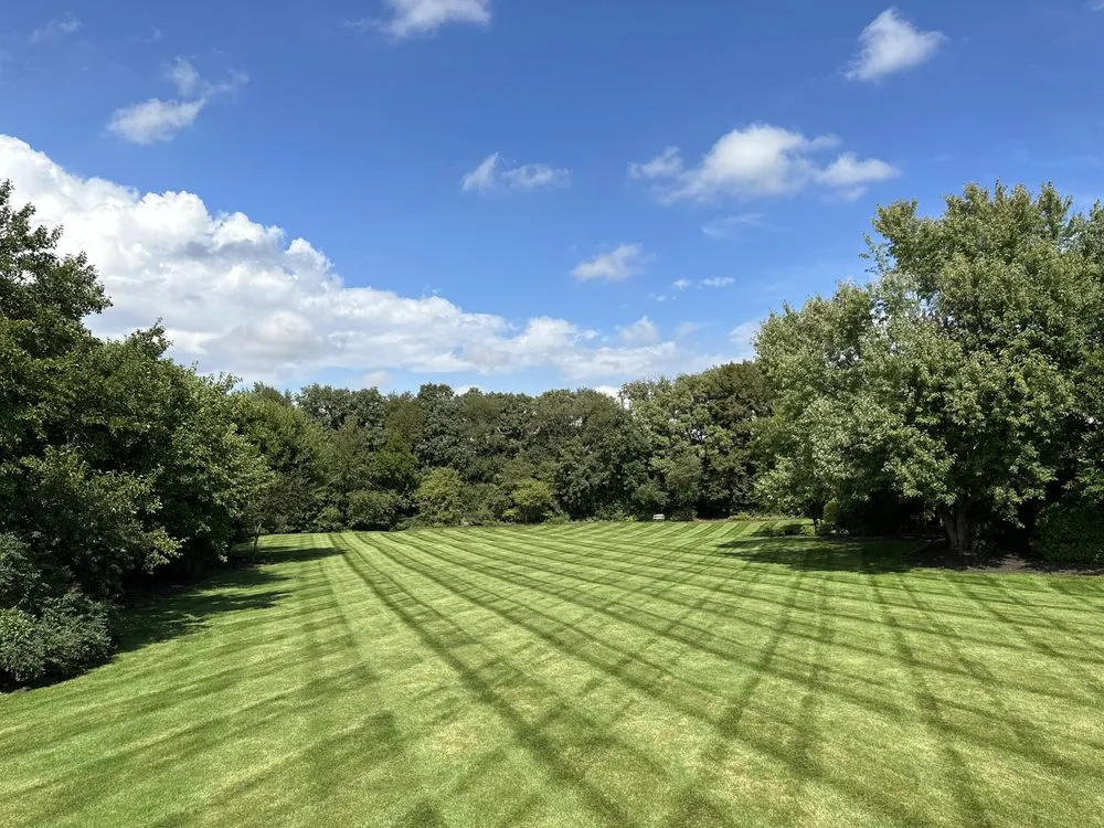 Professional garden landscaping for outdoor upgrades across Frankfort, IL - From the Ground Up Landscaping