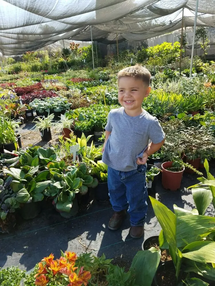 Reliable landscaping services near you across San Jose, CA - From the Ground Up Landscaping