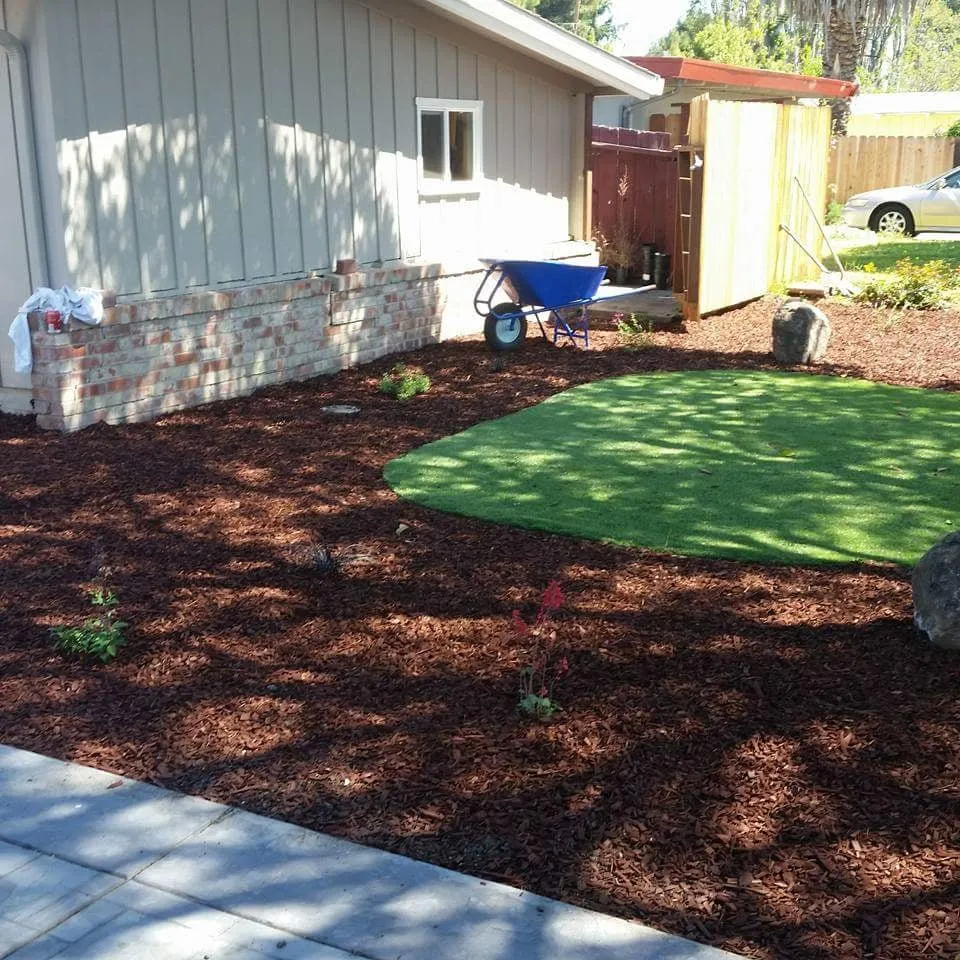 Affordable yard cleanup service in San Jose, CA by From the Ground Up Landscaping