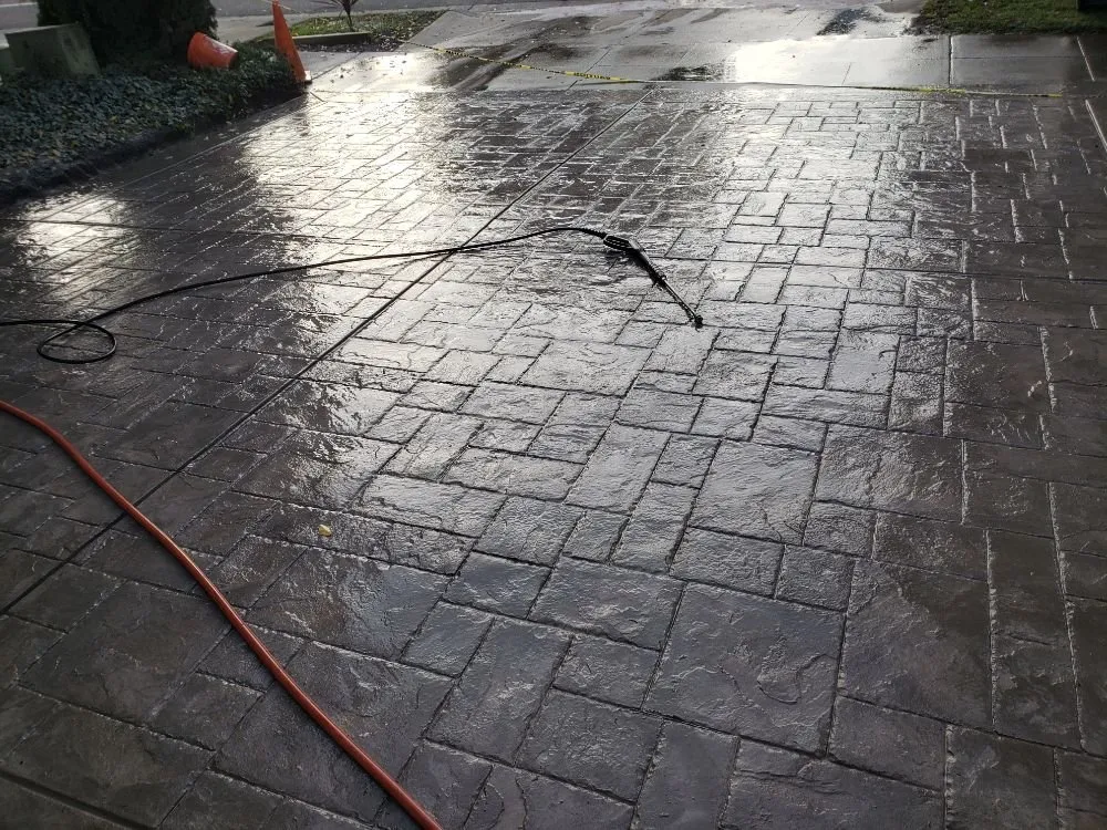 Top-rated lawn care service experts serving San Jose, CA - From the Ground Up Landscaping