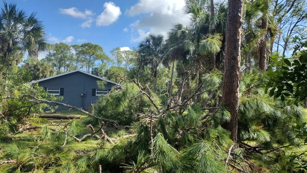 Local garden landscaping in Palm Bay, FL by From the Ground Up of Florida