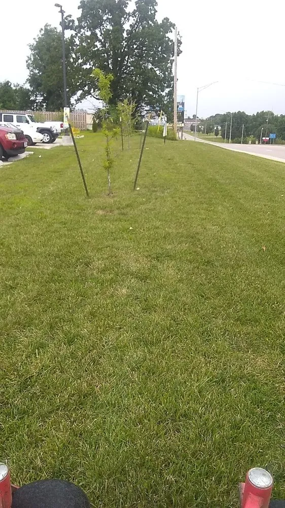 Professional landscape design near you in Bland, MO by From the Ground Up Outdoor Service