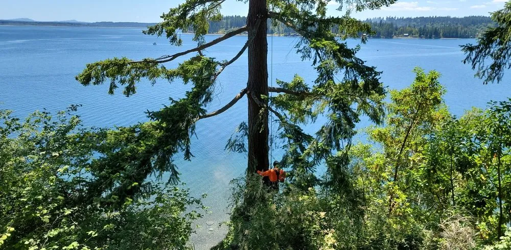 Top-rated landscape design in Olympia, WA by From The Ground Up Tree & Land Management