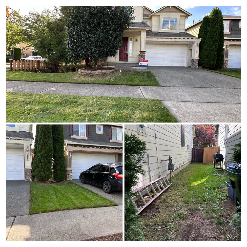 Affordable yard maintenance for beautiful yards across Olympia, WA - From The Ground Up Tree & Land Management