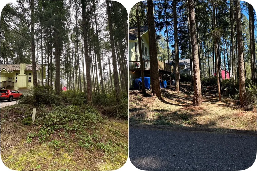 Local outdoor landscaping in Olympia, WA - From The Ground Up Tree & Land Management