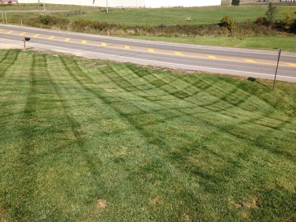 Trusted landscaping services for beautiful yards across Lexington, OH - From the Ground Up Tree & Landscaping