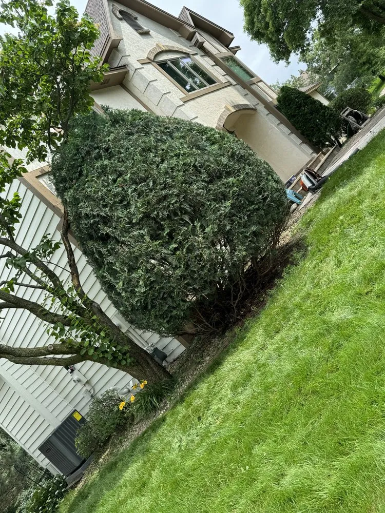 Professional landscape installation in Wayzata, MN - From The Lawn 2 The Tree Top