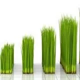 Top-rated yard maintenance in Pike Creek, DE - From the Lawn Up