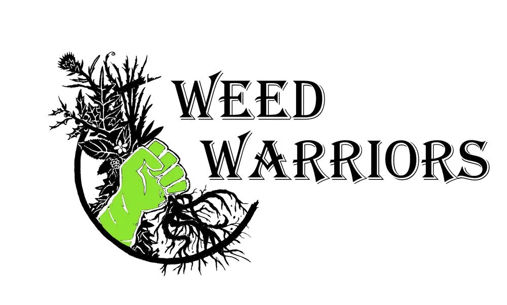 Reliable lawn mowing service in Pike Creek, DE by From the Lawn Up