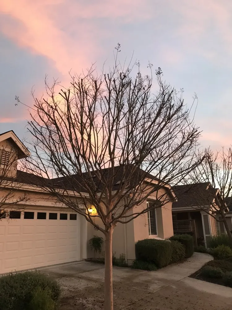 Reliable landscape design for residential properties across Willits, CA - From The Roots Up