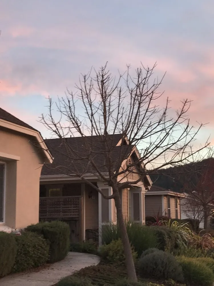 Expert yard maintenance for homes across Willits, CA - From The Roots Up