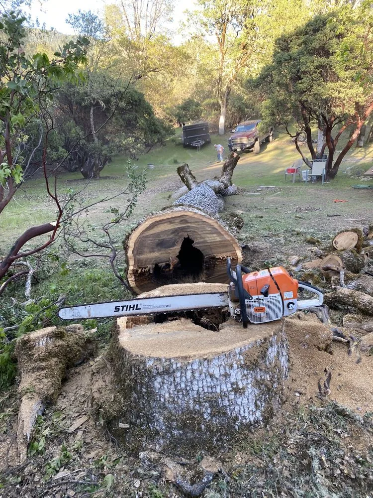 Custom garden landscaping in Willits, CA by From The Roots Up