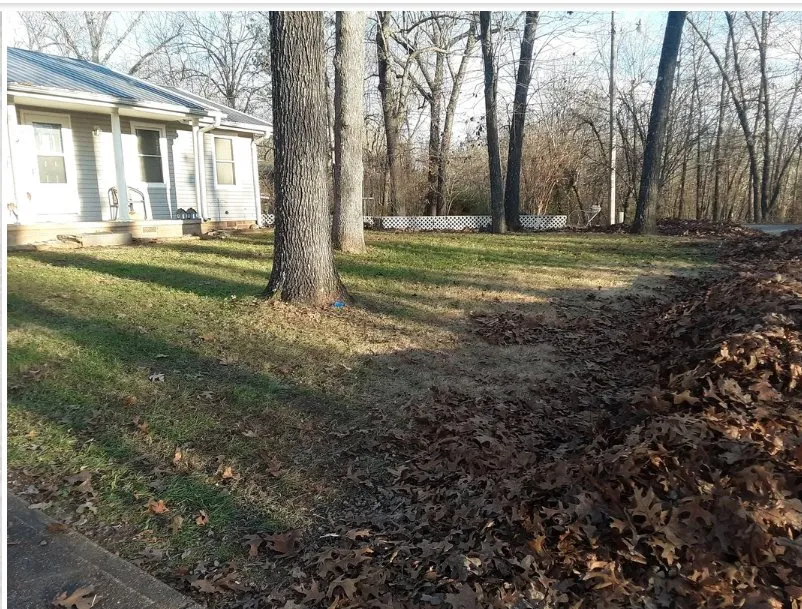 Professional residential landscaping near you across Cherokee Village, AR - Fromans handyman service