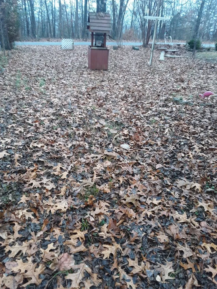 Expert lawn care service experts serving Cherokee Village, AR - Fromans handyman service