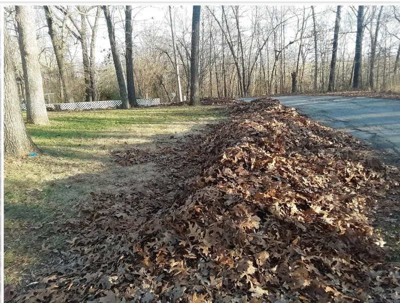 Custom lawn mowing service in Cherokee Village, AR by Fromans handyman service