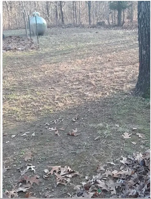 Reliable outdoor landscaping for beautiful yards in Cherokee Village, AR by Fromans handyman service