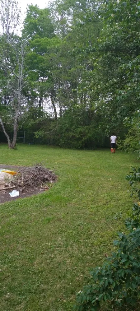 Trusted landscape design for year-round maintenance across Chattanooga, TN - FromMe2You