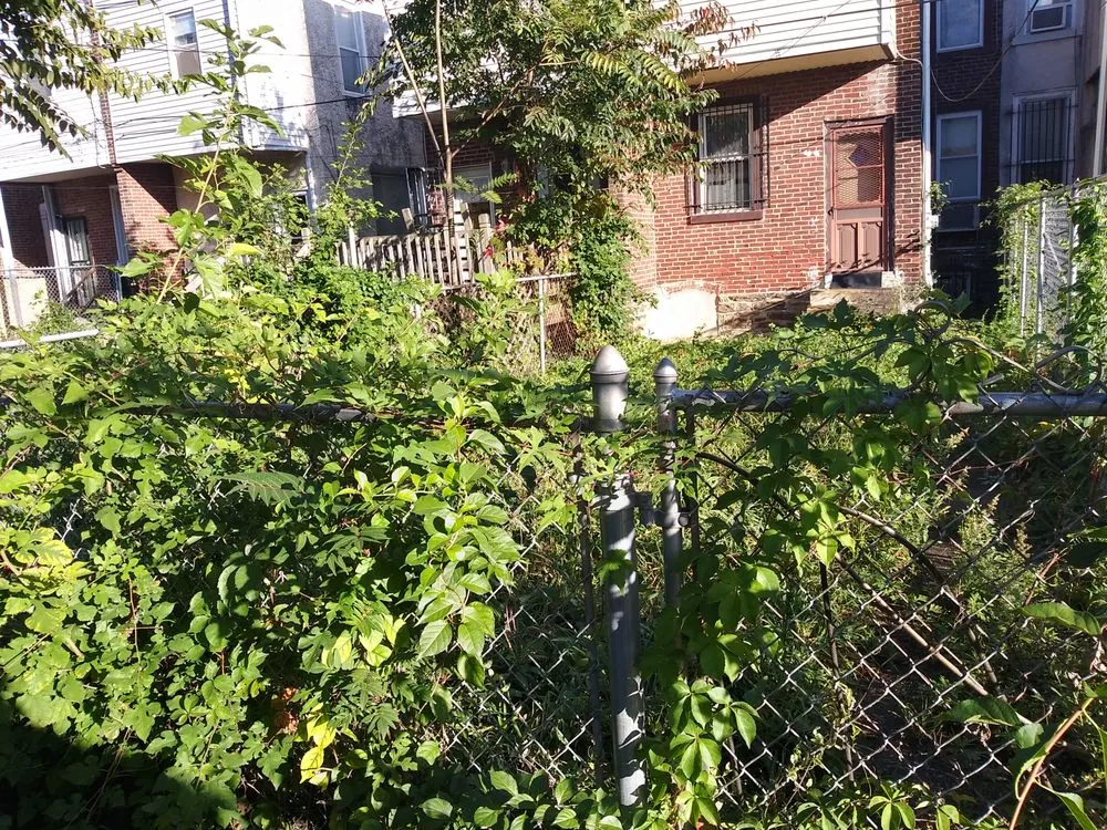 Professional residential landscaping for homes in Philadelphia, PA by Front 2 Back Landscaping