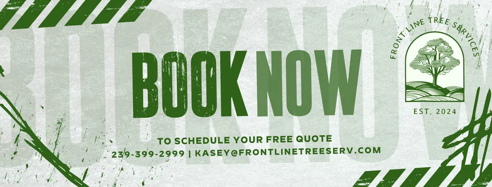 Professional lawn care service for year-round maintenance in Westerville, OH by Front Line Tree Services