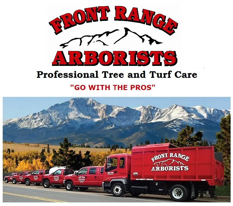 Reliable yard maintenance in Colorado Springs, CO by Front Range Arborists