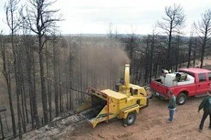 Top-rated lawn mowing service in Colorado Springs, CO by Front Range Arborists