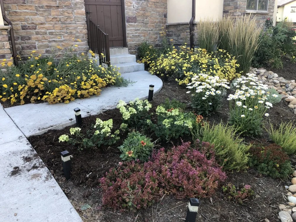 Affordable yard cleanup service near you in Loveland, CO by Front Range Finest