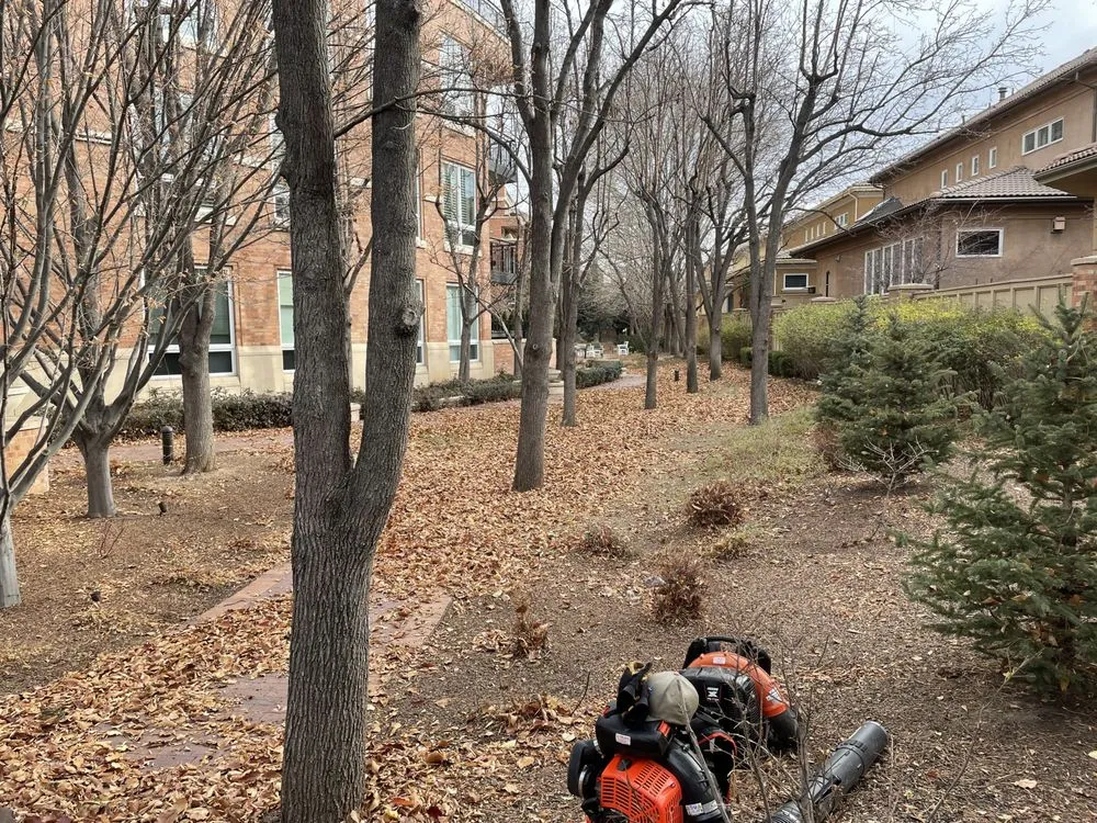 Trusted landscaping services in Loveland, CO by Front Range Finest