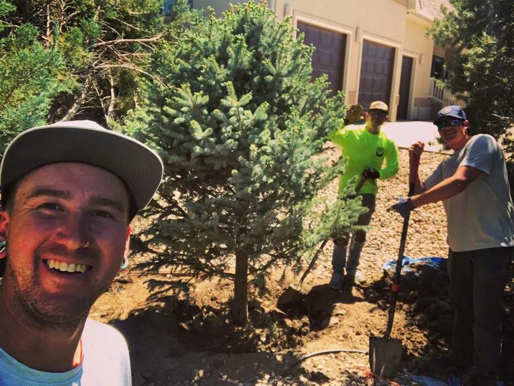 Affordable landscape installation for homes in Loveland, CO by Front Range Finest