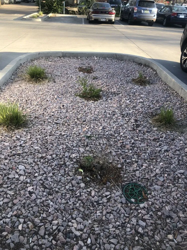 Local landscaping services near you across Loveland, CO - Front Range Finest