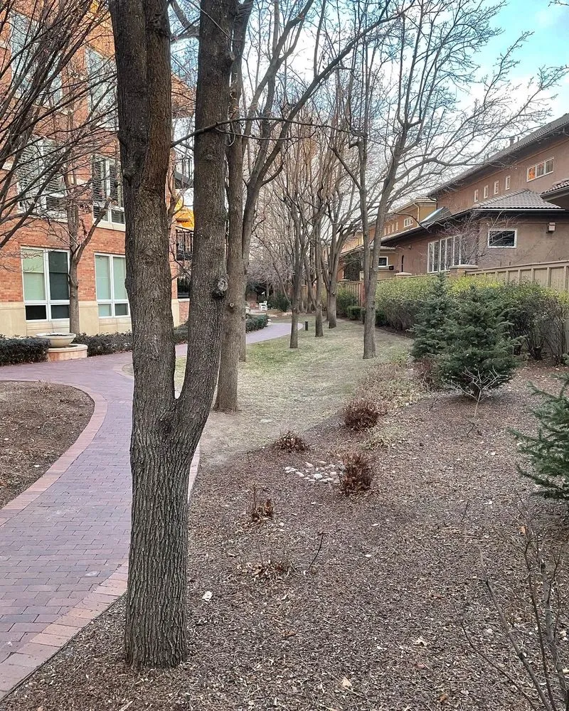 Affordable yard maintenance in Loveland, CO by Front Range Finest