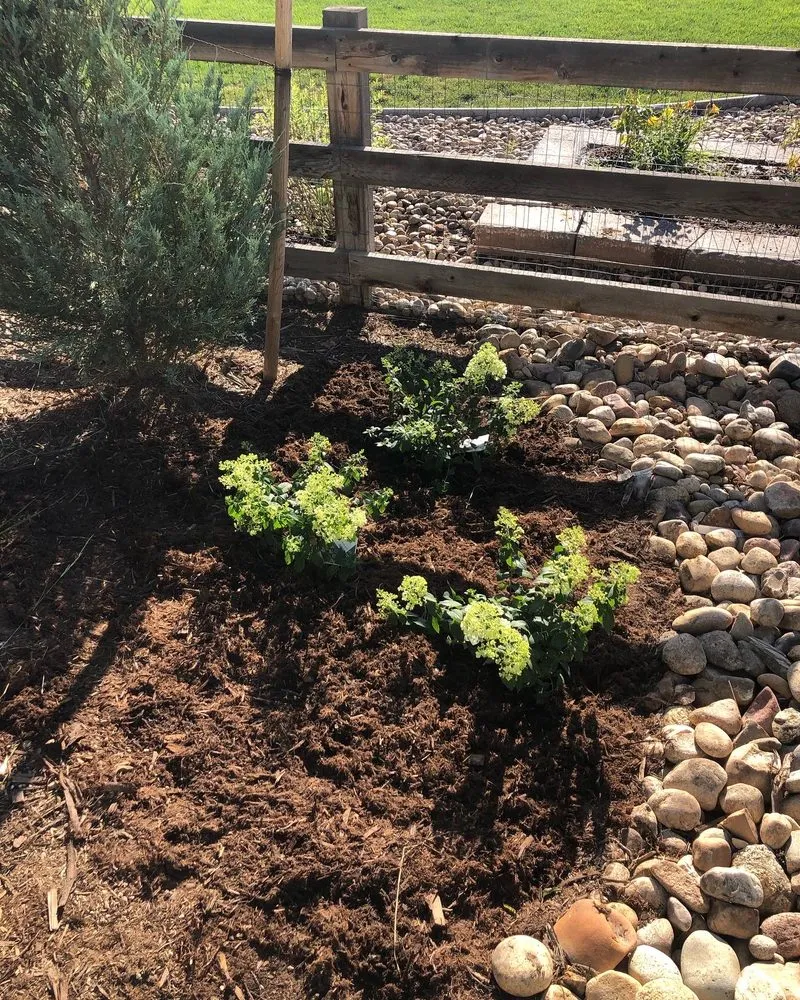 Reliable landscape design in Loveland, CO - Front Range Finest