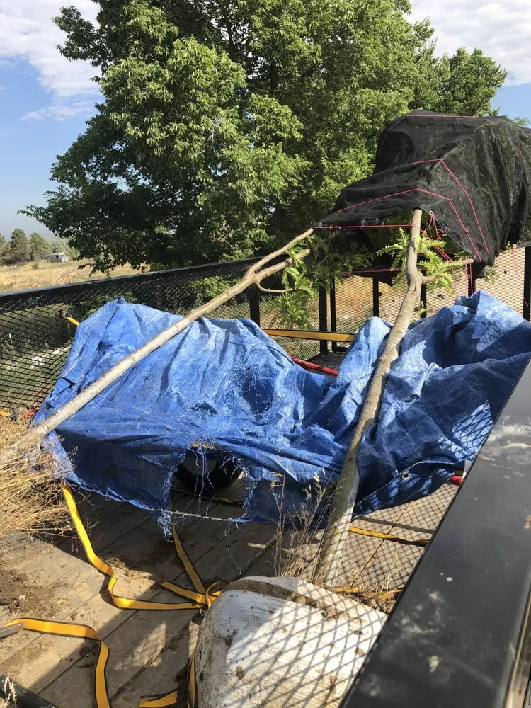 Reliable landscaping services for homes across Loveland, CO - Front Range Finest