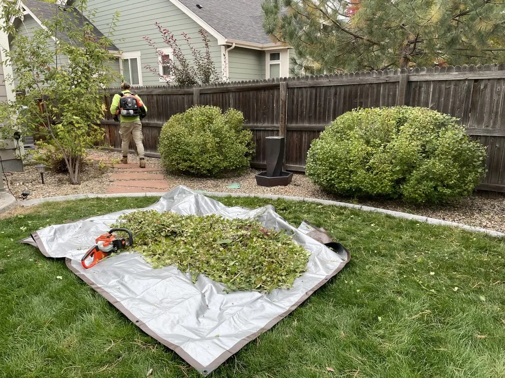 Trusted yard cleanup service for residential properties across Loveland, CO - Front Range Finest