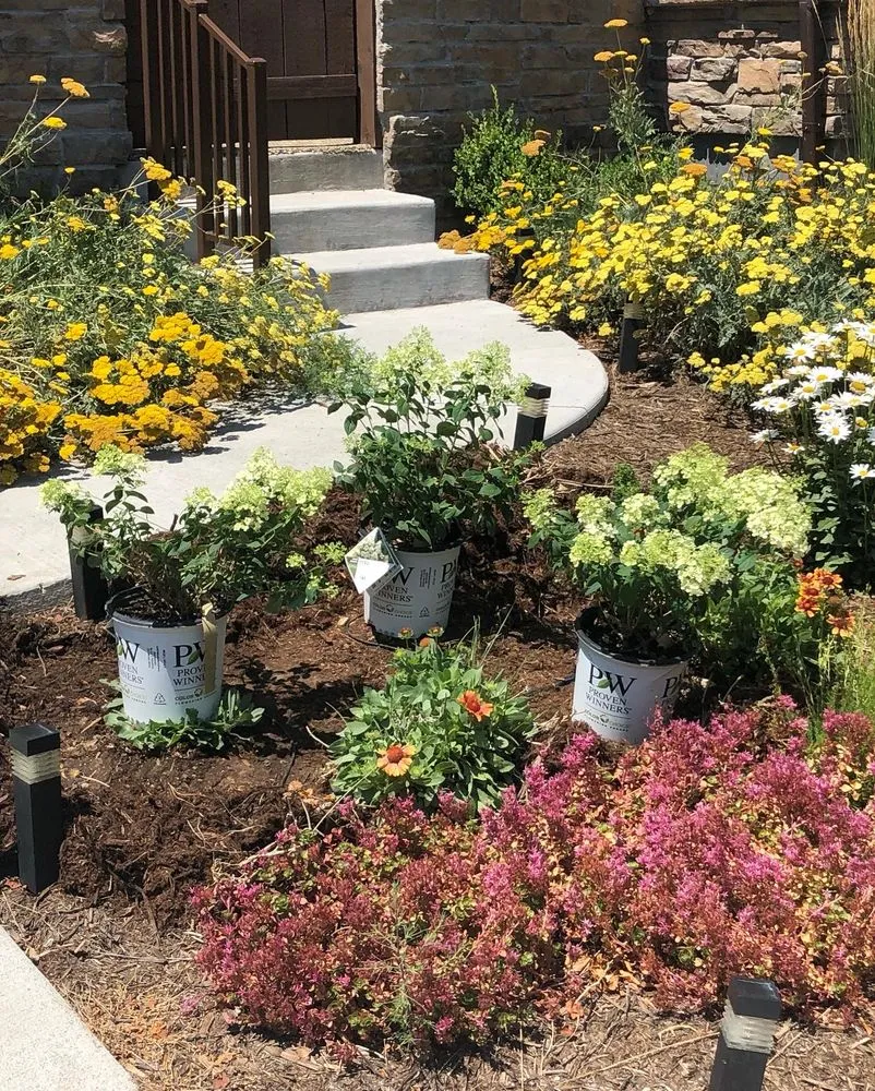 Reliable lawn care service for residential properties in Loveland, CO by Front Range Finest