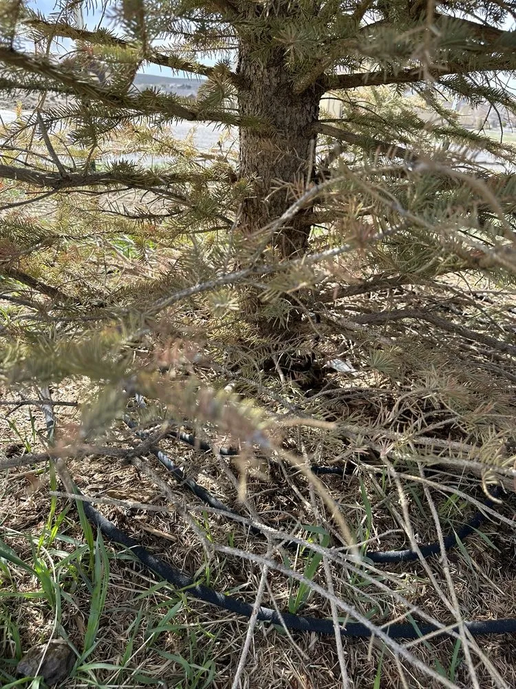 Local outdoor landscaping for year-round maintenance across Franktown, CO - Front Range Landscape and Nursery