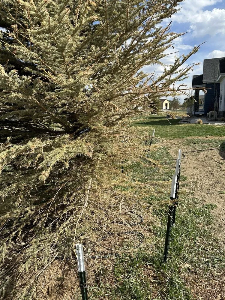 Local garden landscaping in Franktown, CO - Front Range Landscape and Nursery