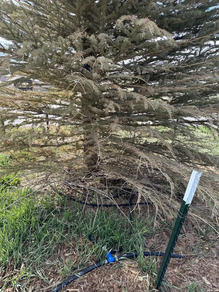 Affordable outdoor landscaping experts serving Franktown, CO - Front Range Landscape and Nursery