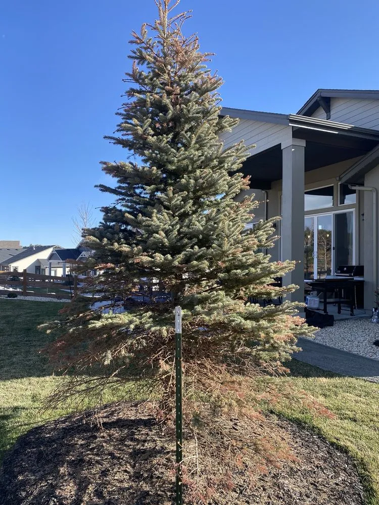 Expert outdoor landscaping for homes in Franktown, CO by Front Range Landscape and Nursery