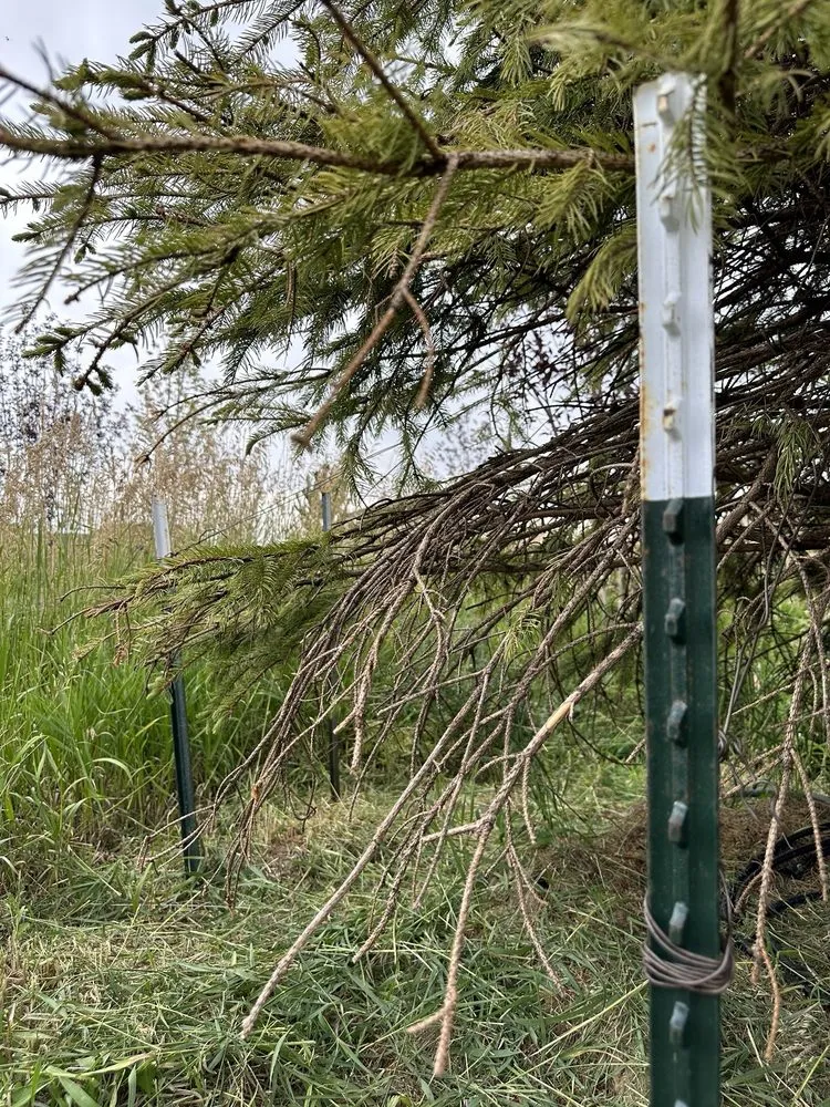 Top-rated garden landscaping in Franktown, CO by Front Range Landscape and Nursery