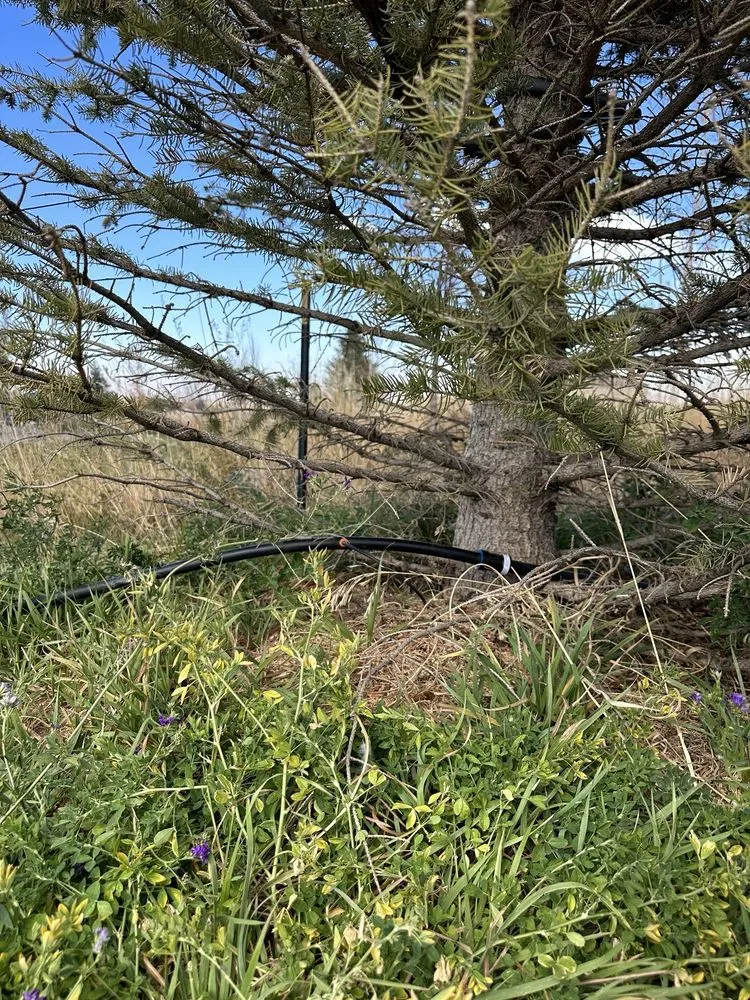 Top-rated outdoor landscaping in Franktown, CO - Front Range Landscape and Nursery