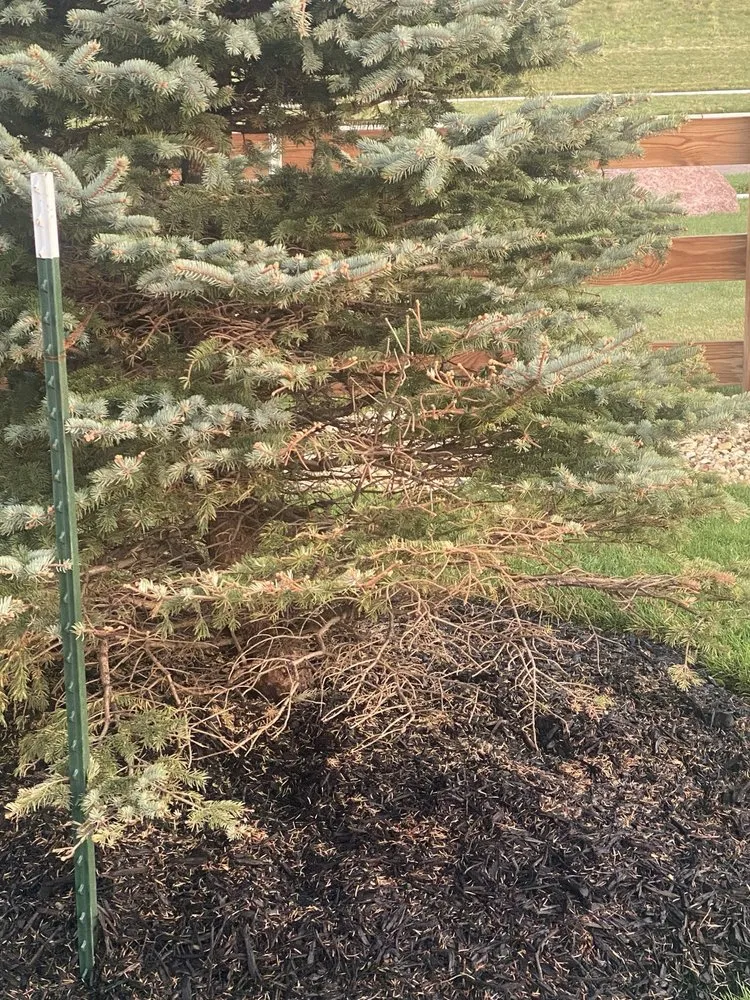 Trusted landscaping services in Franktown, CO - Front Range Landscape and Nursery