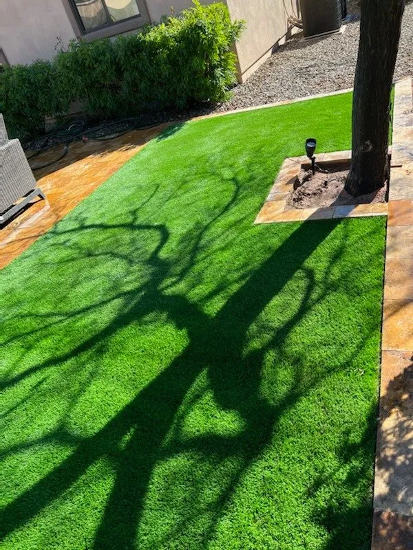 Affordable garden landscaping in Denver, CO by Front Range Xeriscapes