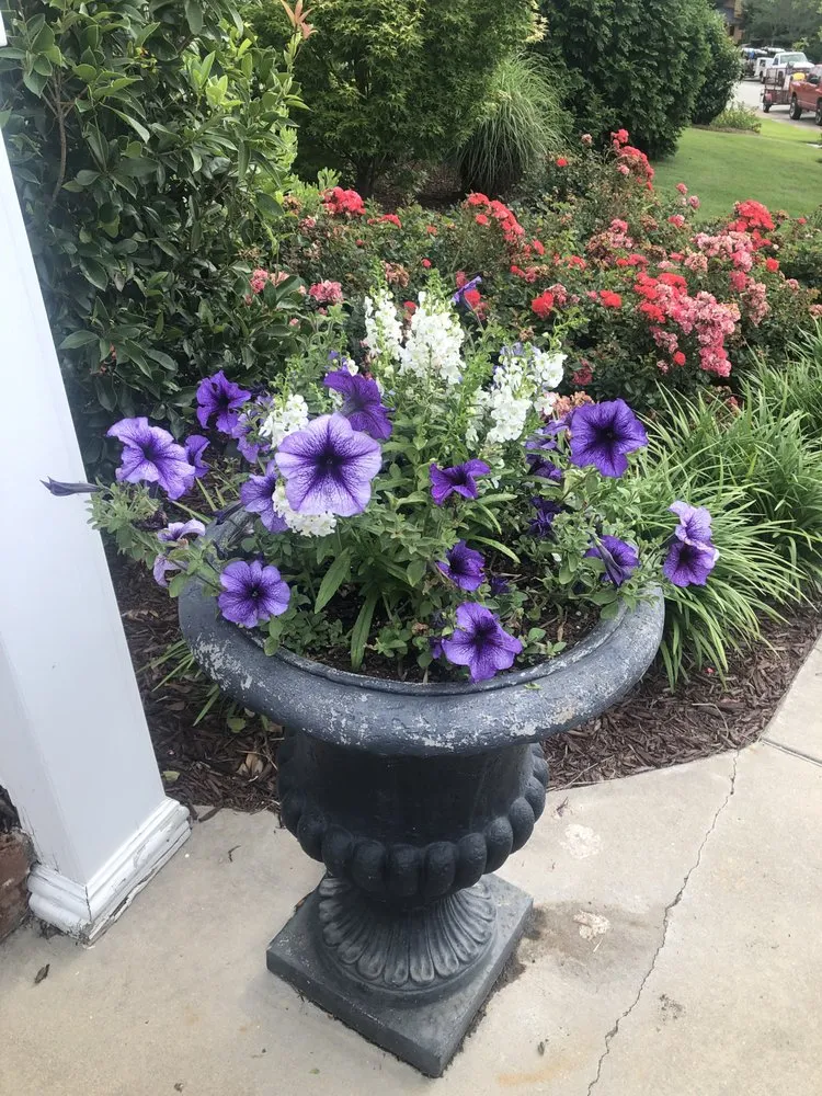 Reliable residential landscaping experts serving Columbia, SC - Front Yard Forest