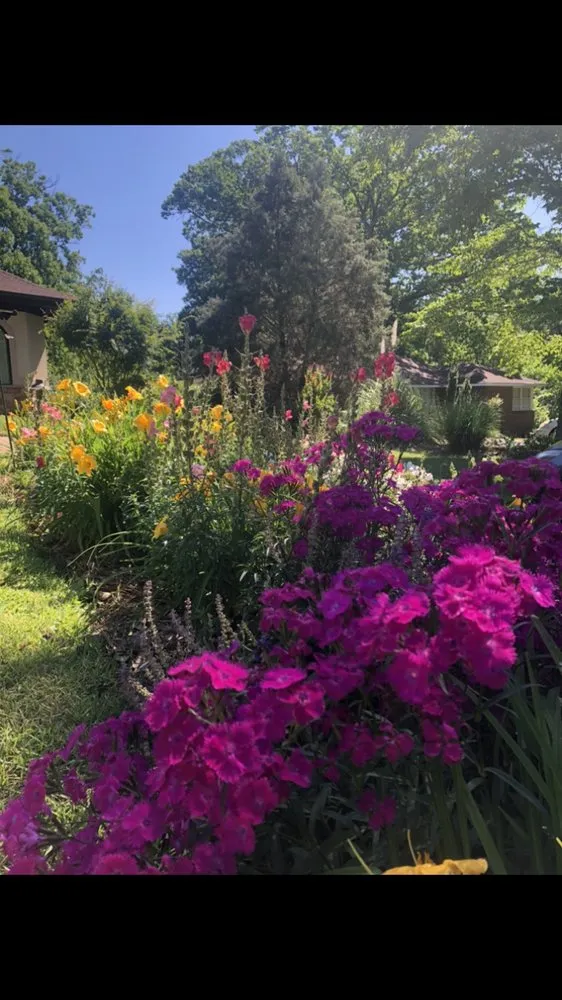 Affordable outdoor landscaping for outdoor upgrades across Columbia, SC - Front Yard Forest